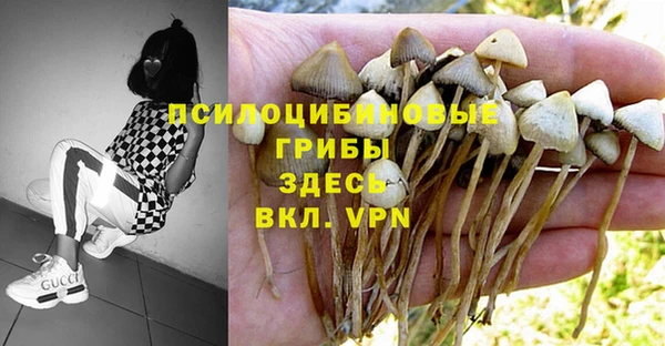 дмт Абинск